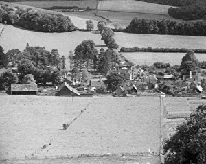 wen1942 bw neg pro 107