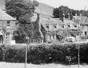 wen1942 bw neg pro 114