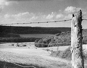 wen1942 bw neg pro 115