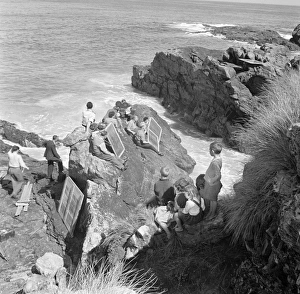 Whisky Galore