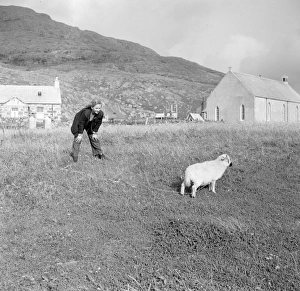 <b class=qtipBold><figcaption>Whisky Galore</figcaption></b><br>whi_bw_neg_ 10<br><em>© Copyright © Studiocanal Films Ltd</em> Whisky Galore